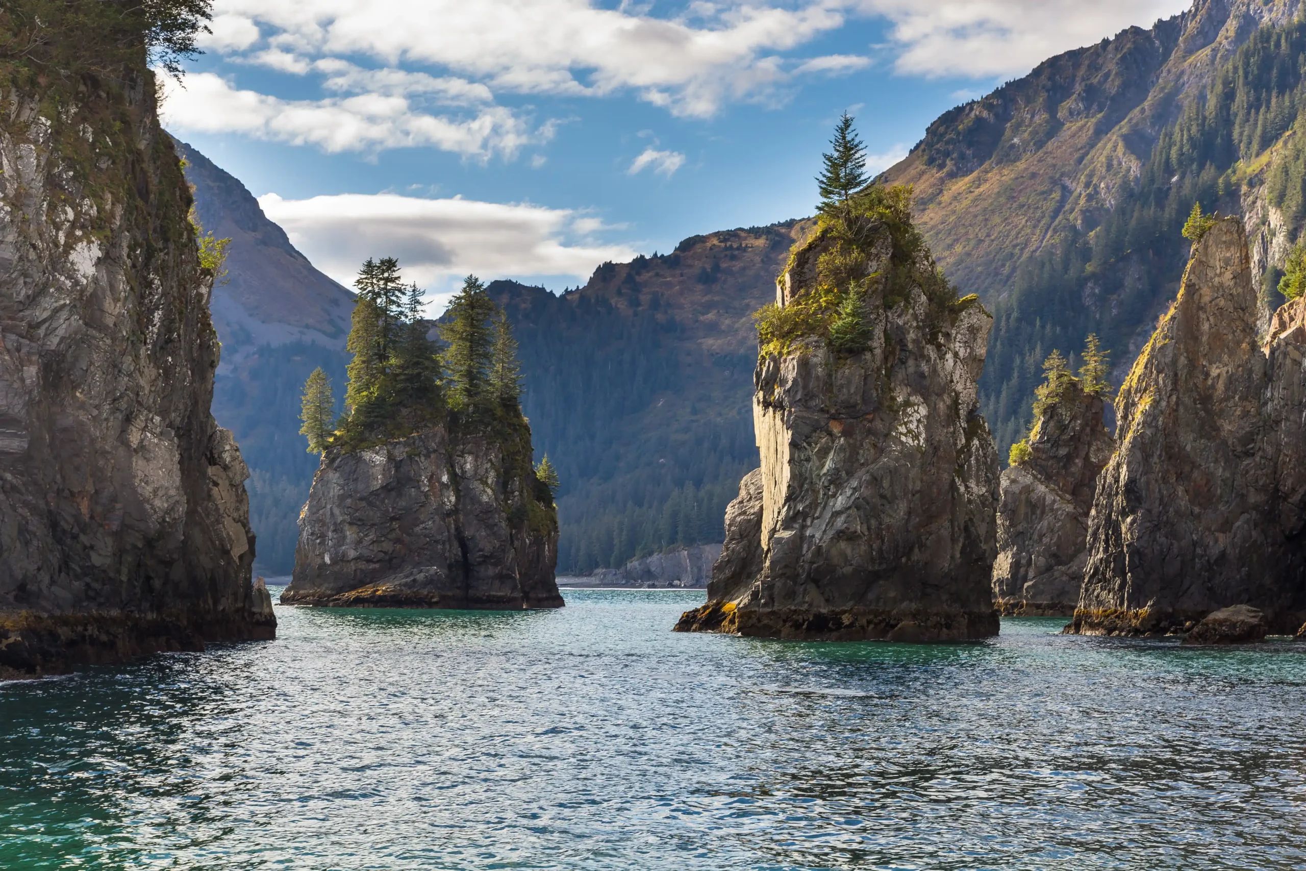 Coffman Cove - Prince of Wales Island img