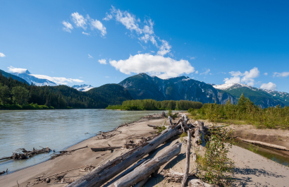 Stikine River 410 Home Page